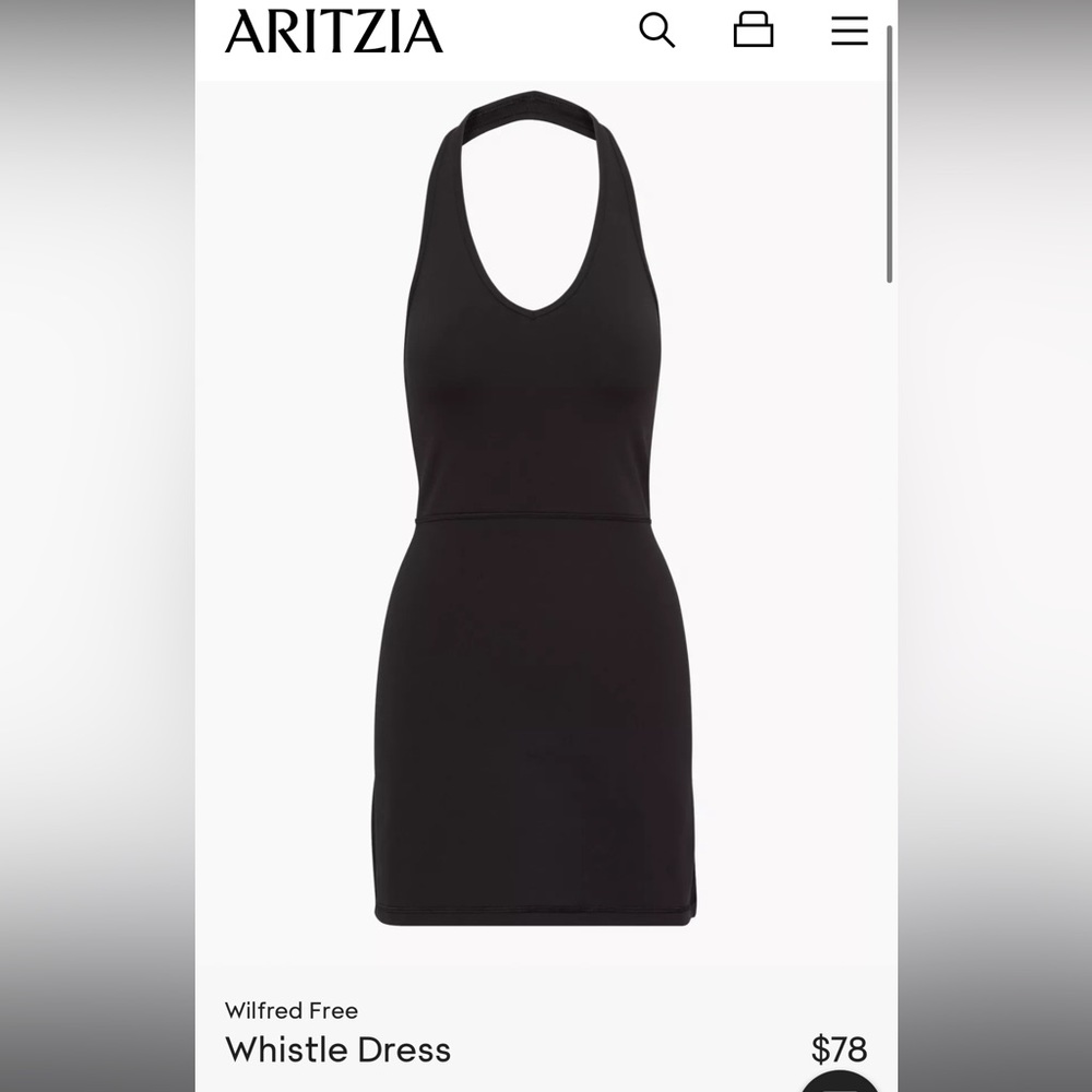 Aritzia Whistle Dress in Black